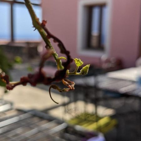 לינה וארוחת בוקר Campobello Horizon Pantelleria מראה חיצוני תמונה