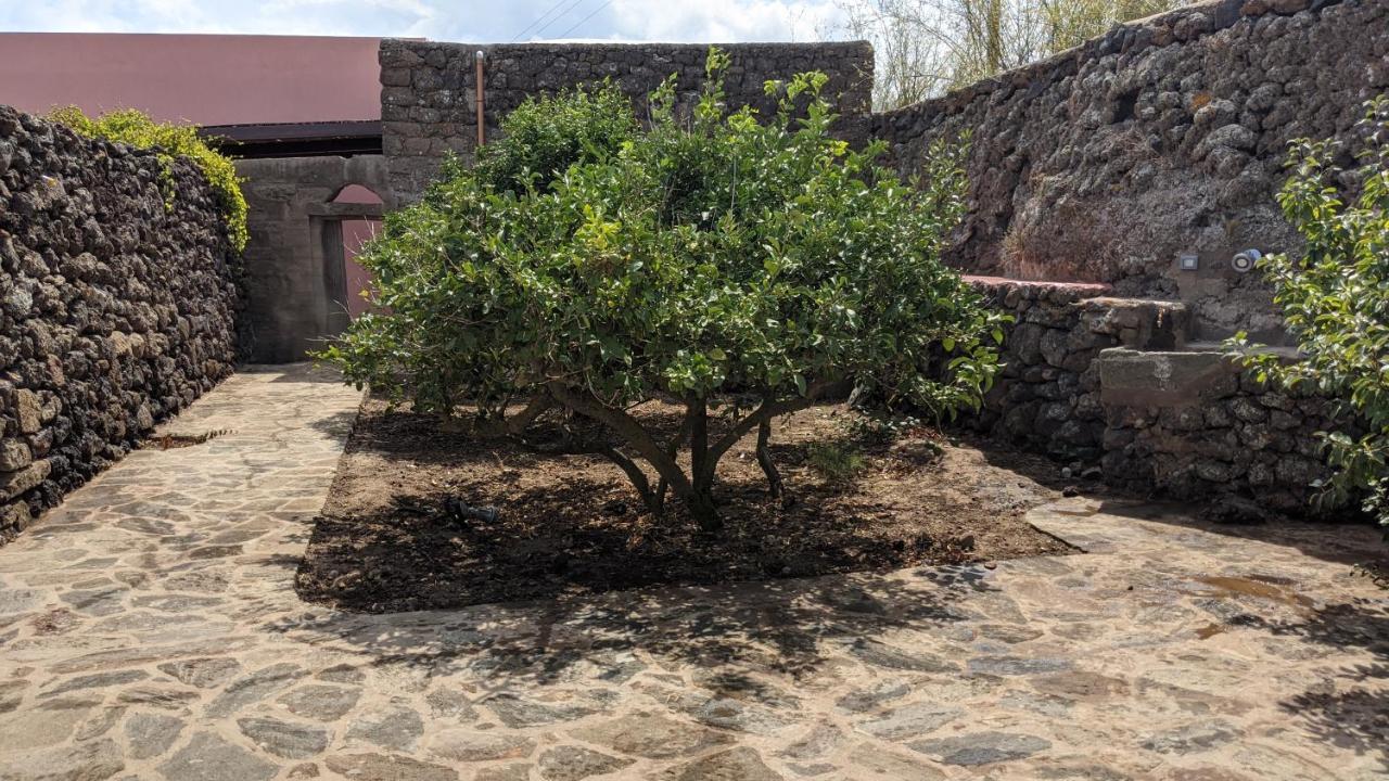 לינה וארוחת בוקר Campobello Horizon Pantelleria מראה חיצוני תמונה