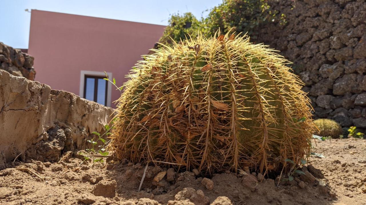 לינה וארוחת בוקר Campobello Horizon Pantelleria מראה חיצוני תמונה