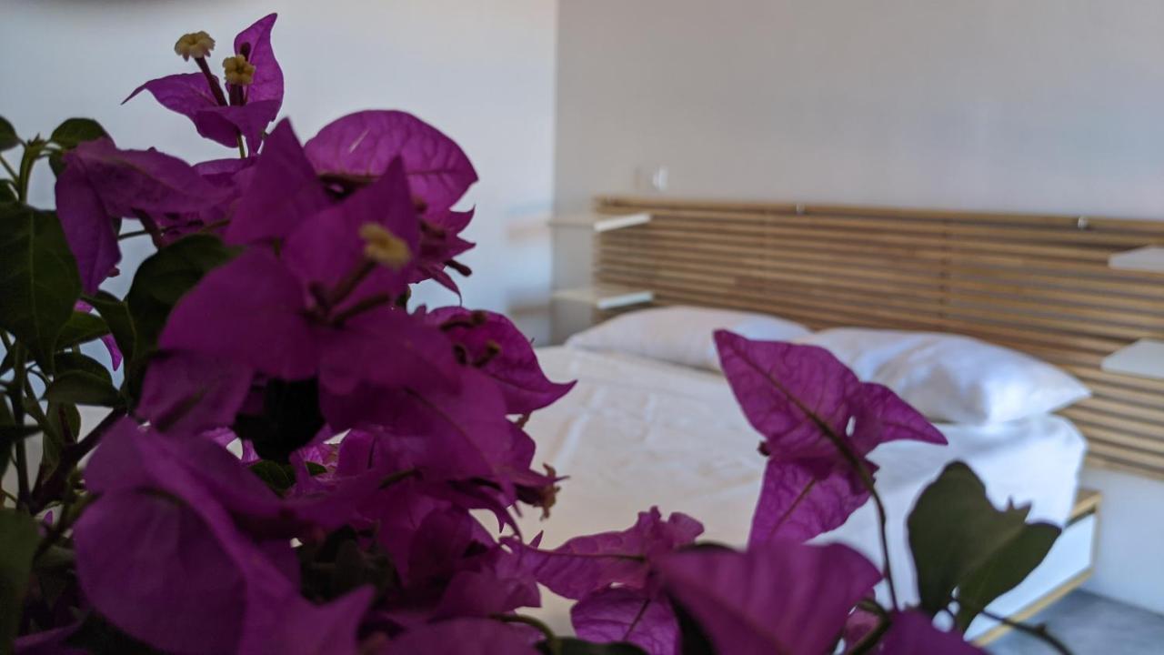 לינה וארוחת בוקר Campobello Horizon Pantelleria מראה חיצוני תמונה