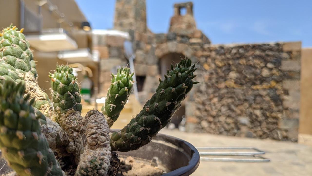 לינה וארוחת בוקר Campobello Horizon Pantelleria מראה חיצוני תמונה
