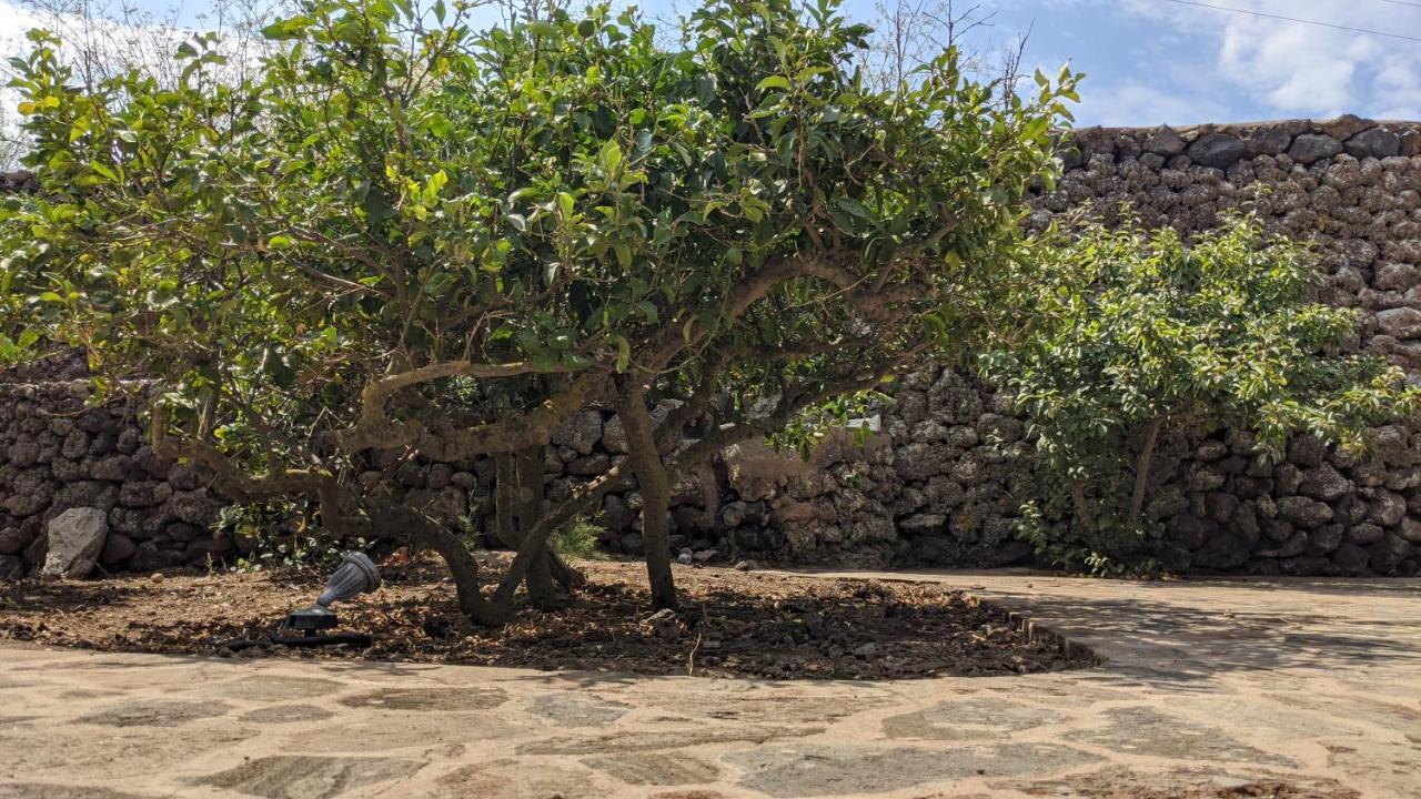 לינה וארוחת בוקר Campobello Horizon Pantelleria מראה חיצוני תמונה