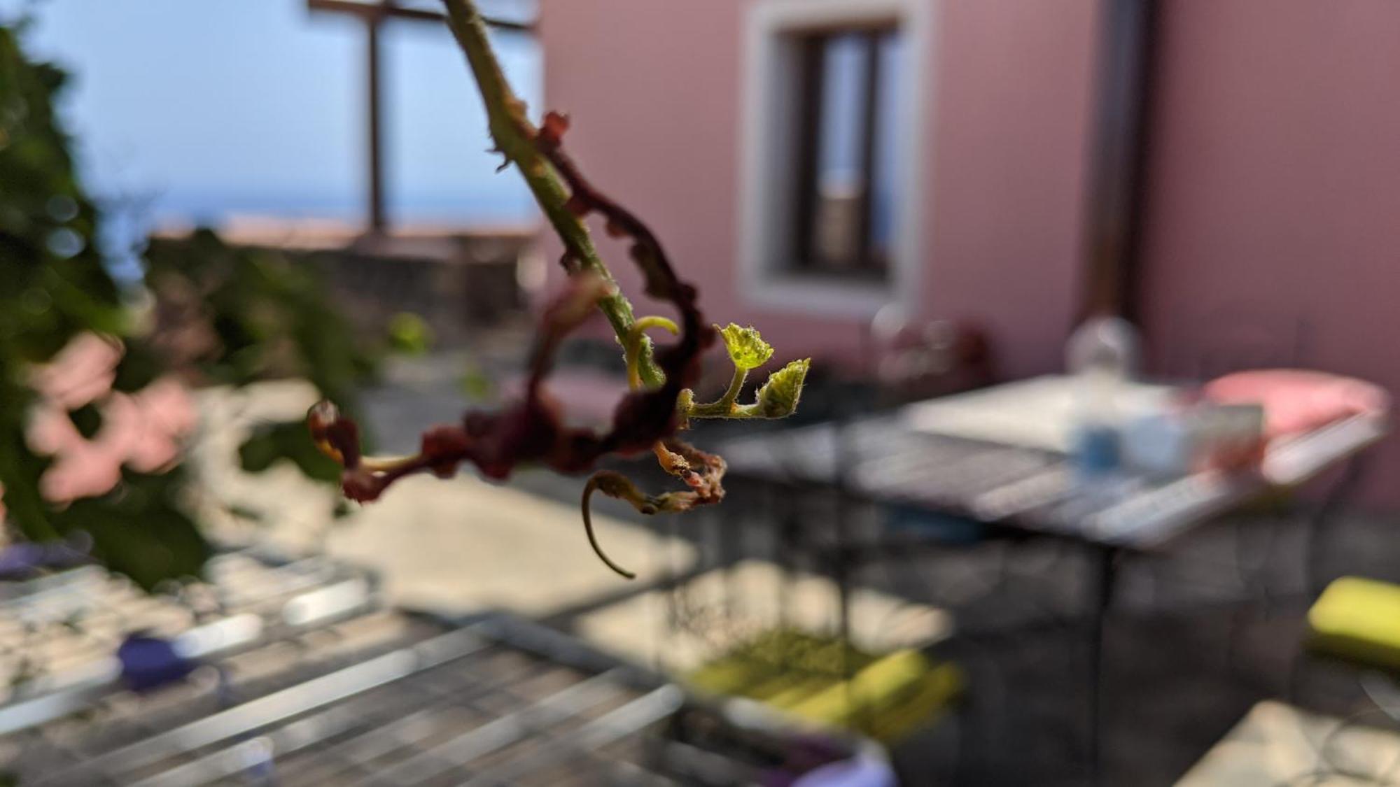 לינה וארוחת בוקר Campobello Horizon Pantelleria מראה חיצוני תמונה